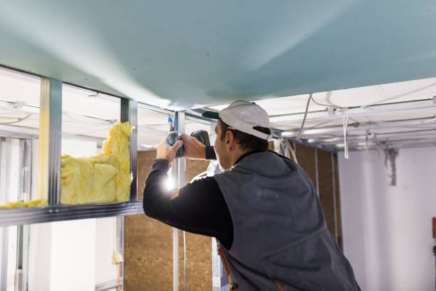 Best Insulation Installation Services in North Star, DE