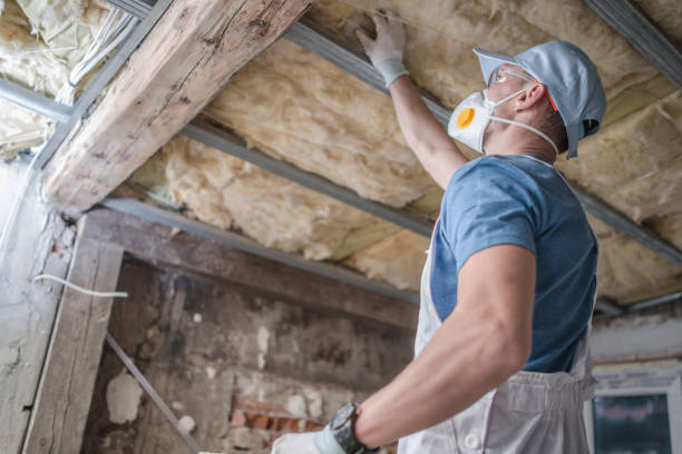 Best Insulation Installation Services in North Star, DE